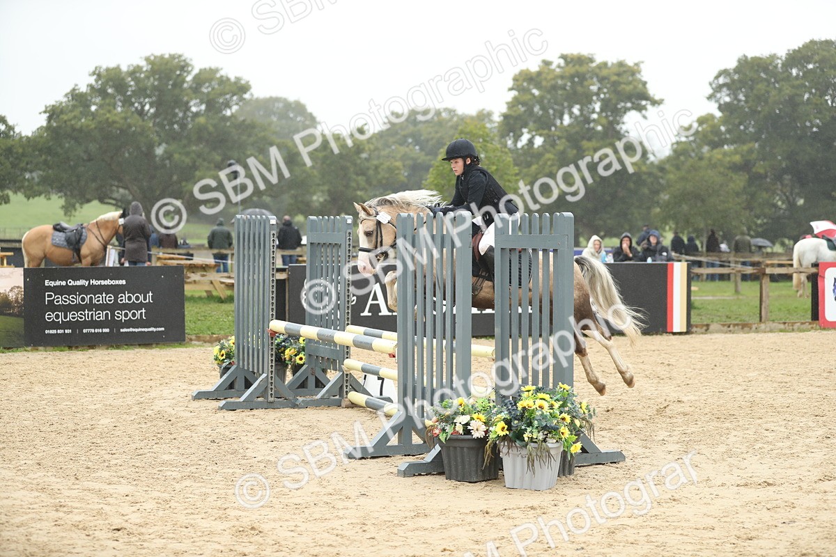 SBM_73828 - J16 - Junior Pony 75cm Championship