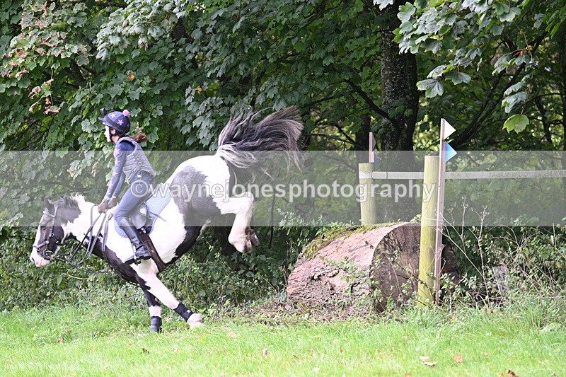 WJ7_8237 - Time 14:11 to 14:30