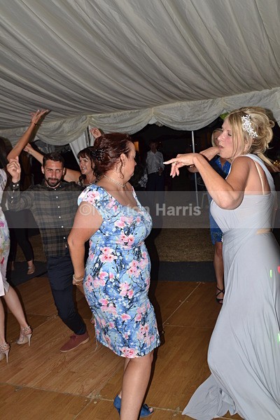 DSC_8648 - Sonja wedding rec