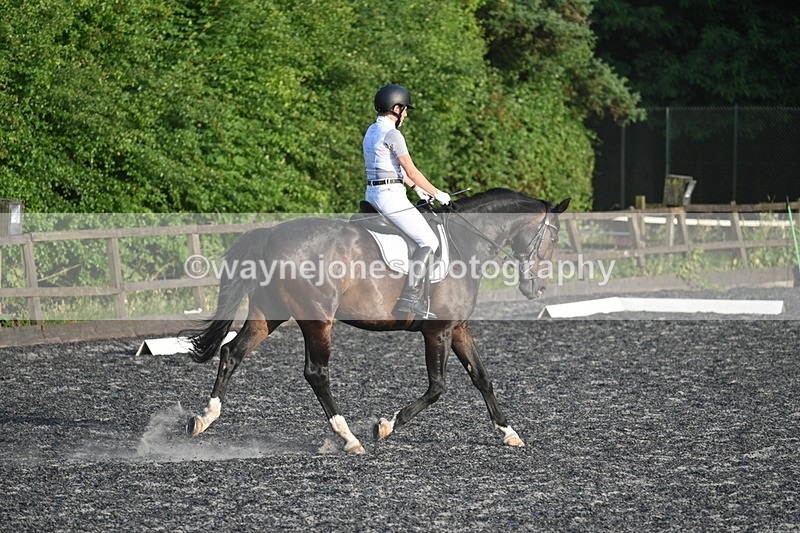 WJ7_0565 - Time 19:38 to 20:00