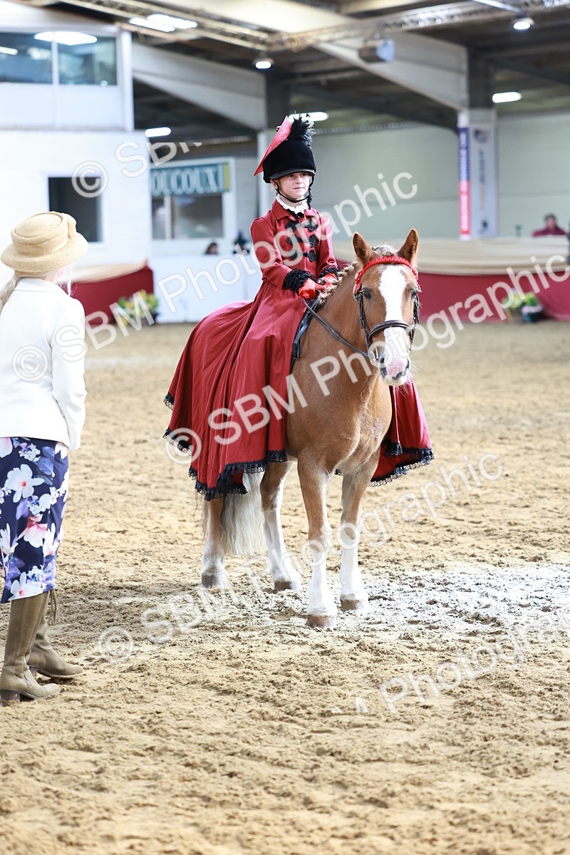SBM_13453 - Class 104 - Ridden Costume - Astride Junior
