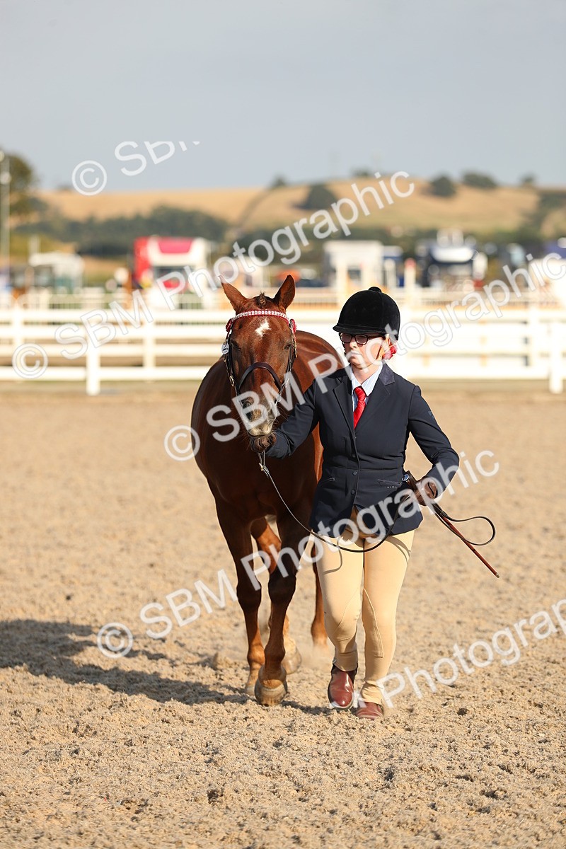 SBM_08981 - Class 29 IH Veteran Pony