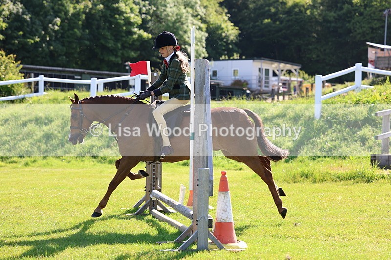 3E7A5913 - Class 27: Novice Working Hunter Pony