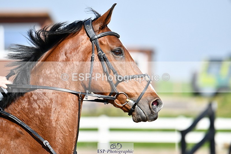 240512A-164105-19850 - Cls 44 1.05m National Am Quali