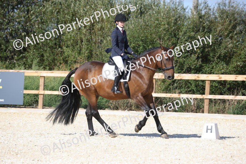 20260905-1602 - Class 5 - Novice 2