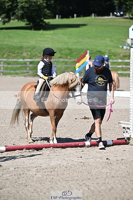 240729B-105841-02178 - Showjumping Competition