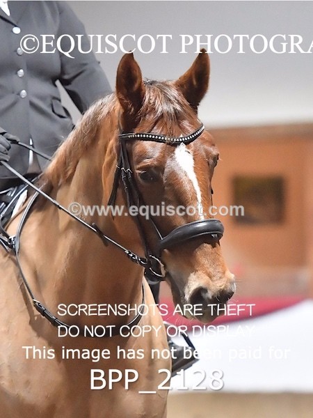 BPP_2128 - 11 - C JOHNSTON