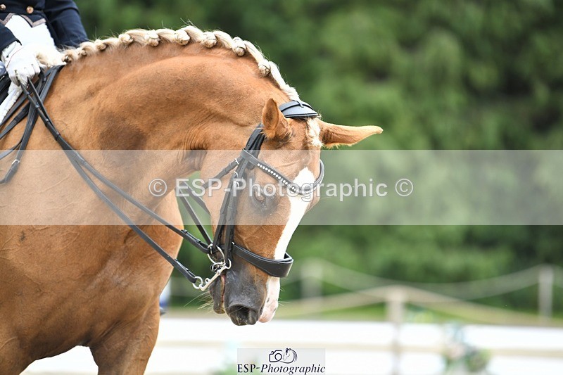 230812-144230-04773 - Cls 7 FEI PSG Bronze