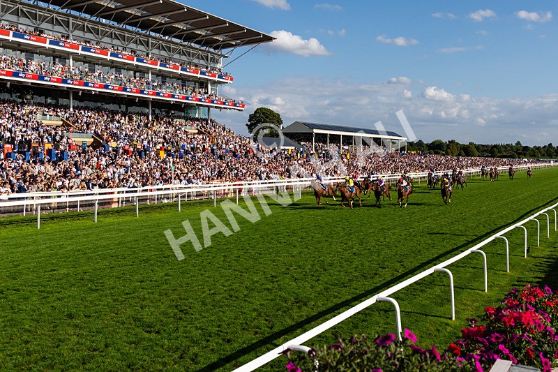 220826-Race 7-Raammee-0826 - Race 7 17.20pm Sky Bet Dav Reid Finale Handicap