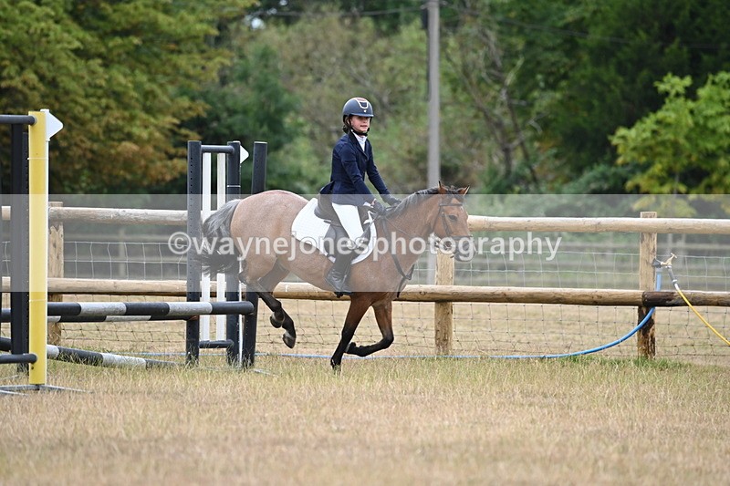 WJ6_0352 - Class 13 Novice Jumping 60cm