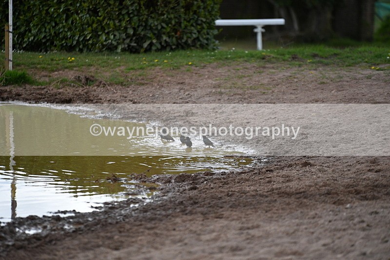 WJ5_3616 - Time 14:19 to 14:53