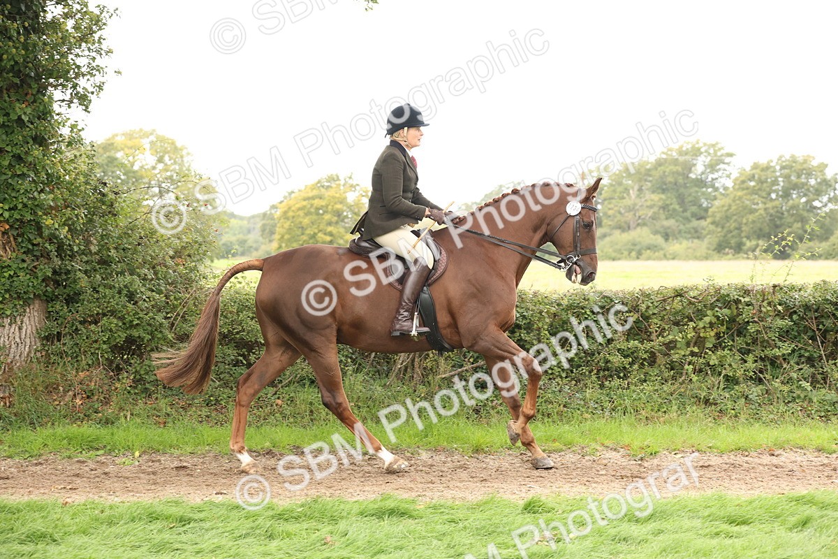 SBM_64219 - S65 - Riding Horse & Hack & Thoroughbred Ridden