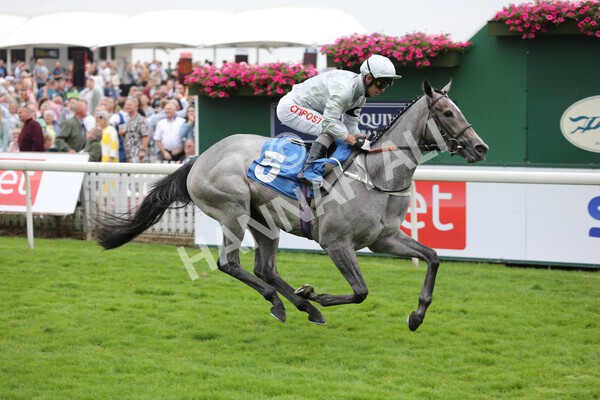 yr24072021r4-23 - Race 4 3.50pm Sky Bet Britain's Most Popular Online Bookmaker EBF Restricted Novice Stakes (Plus 10