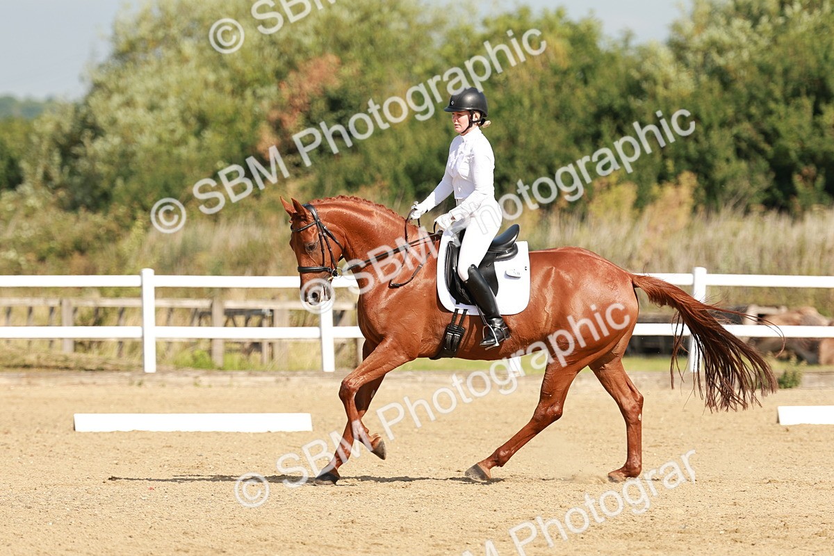 SBM_021071 - Class 12 - P6