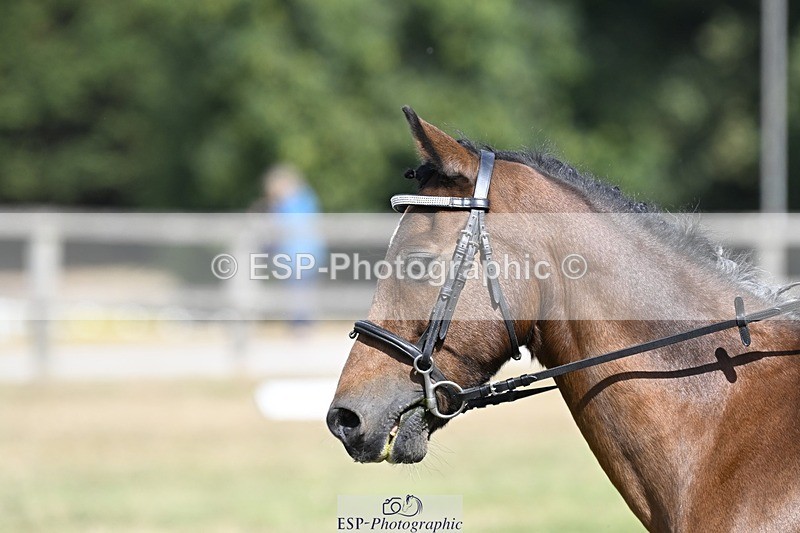 250821A-111337-15239 - DR 11.00 to 12.00