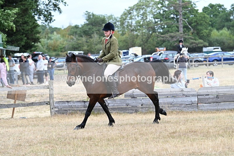 WJ7_0638 - Class 6 Ridden Mountain and Moorland