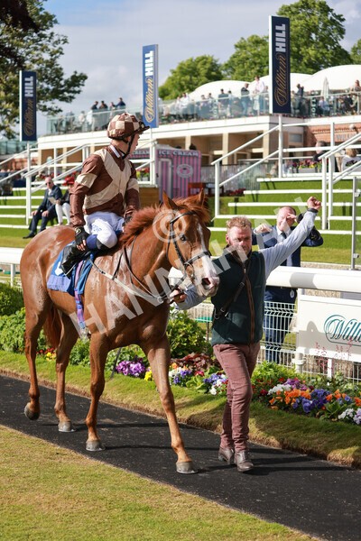 yr21052022r7-44 - Race 7: 5:15pm Reg Bond Always and Forever Stakes