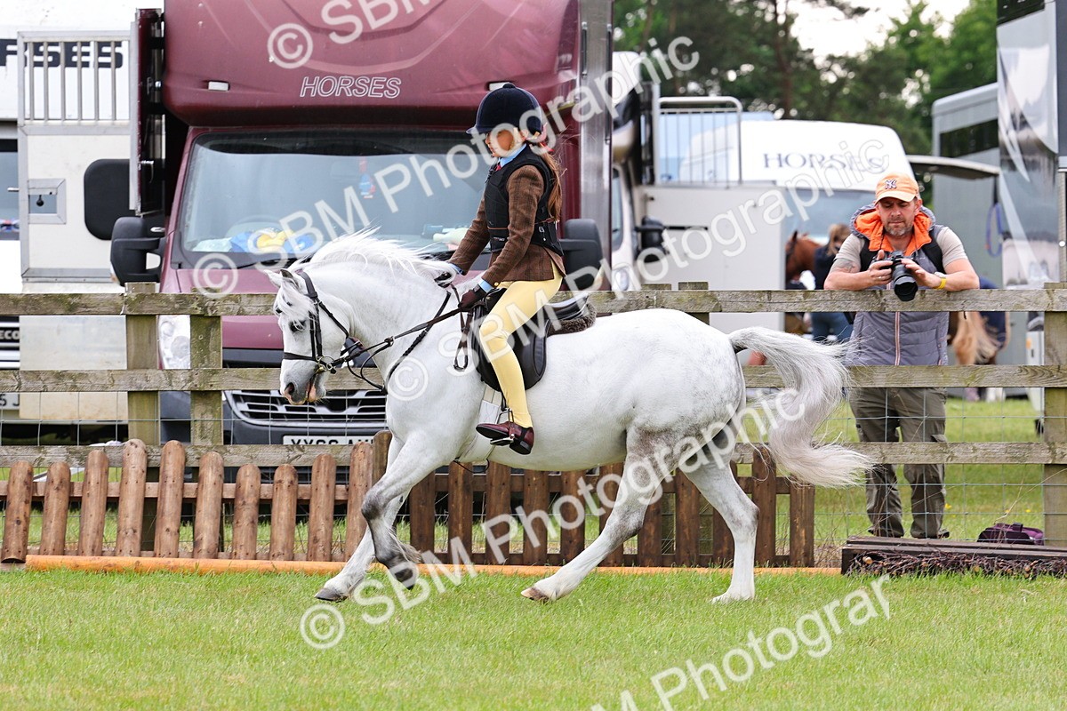 SBM_08707 - Class 42-43 - LIHS BSPS Heritage Working Sports Pony