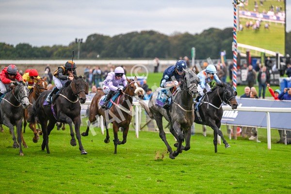 101025-Race 7-Sky Advocate-7164 - Race 7 PJ Staffing Group Apprentice Handicap at York