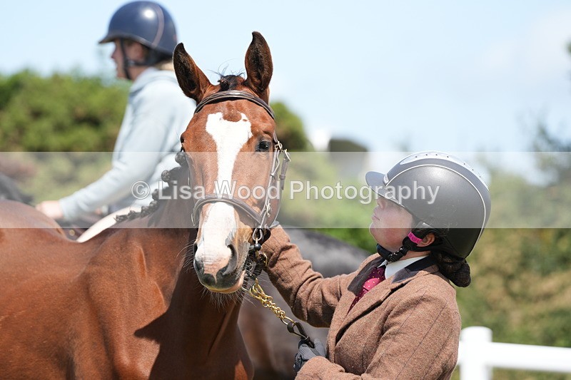 DSC06277 - Class 54: Hunter/Riding Horse/Hack 1 & 2 yr olds