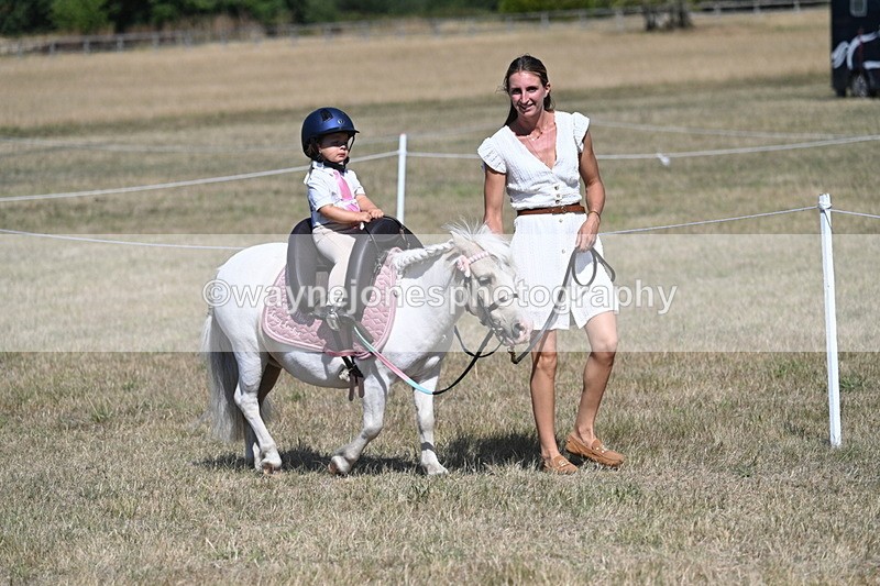 WJ7_1144 - Class 41 Prettiest Mare