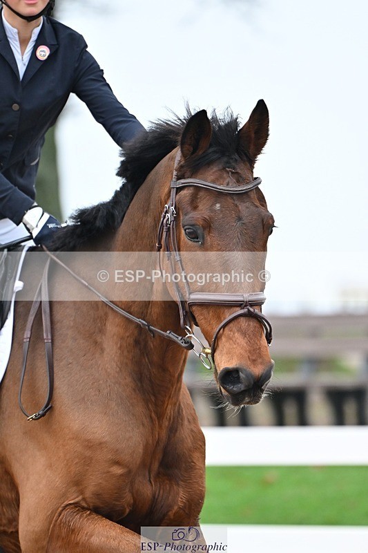 251115-135002-00956 - Cls 16-18 Children on Horses