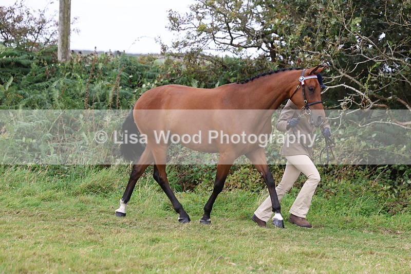 3E7A4342 - Class 15: Three Year Olds