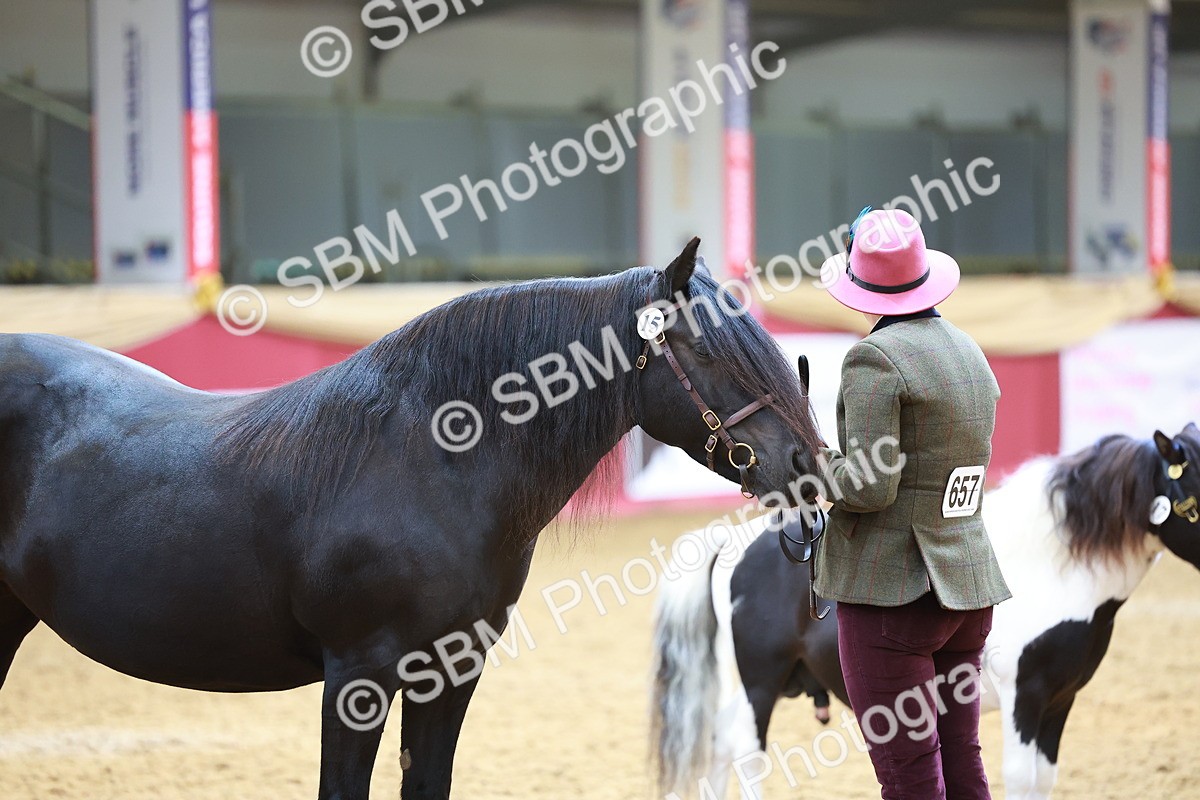 SBM_04270 - Class 9R - IH Pre-Vet