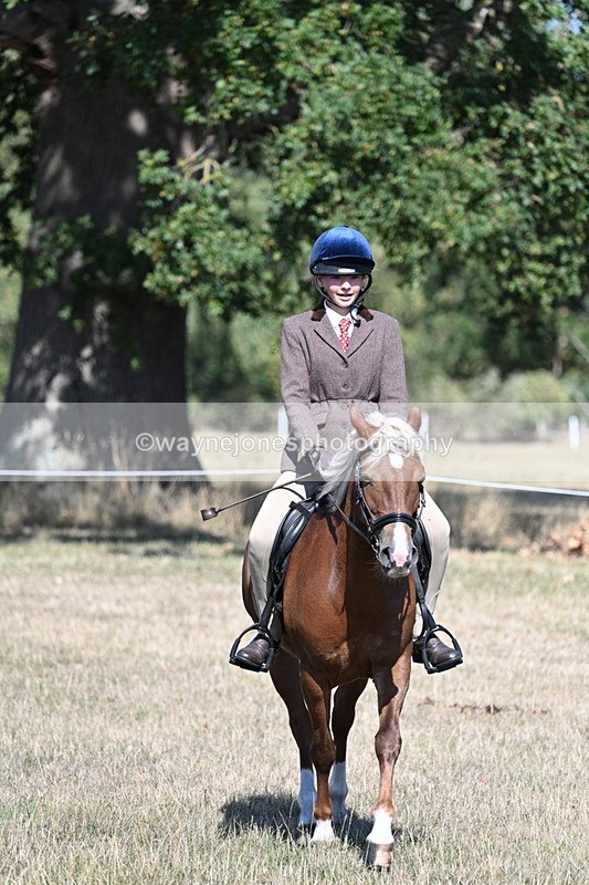 WJ7_3995 - Class 9 Mountain & Moorland Ridden