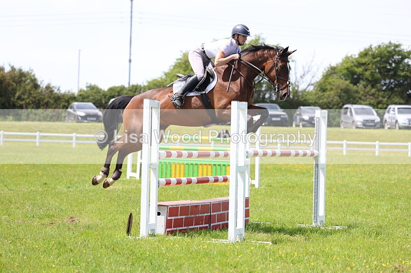 3E7A1349 - Class 12: Senior Foxhunter/1.20 open