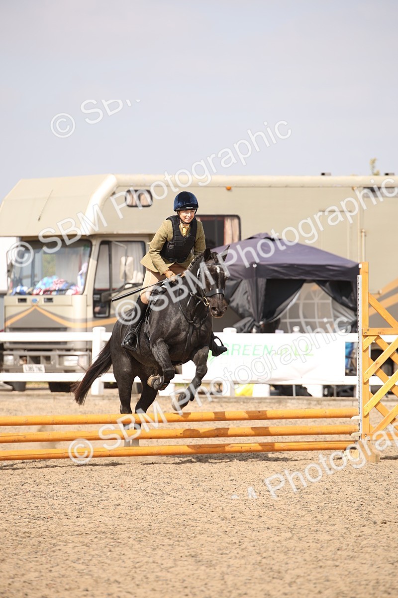 SBM_14318 - Class 407b - Working Veteran 60cm (20+)