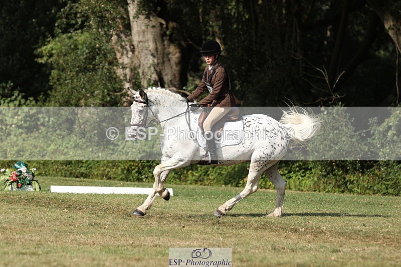 250823A-162402-33425 - PC80 Ride Off