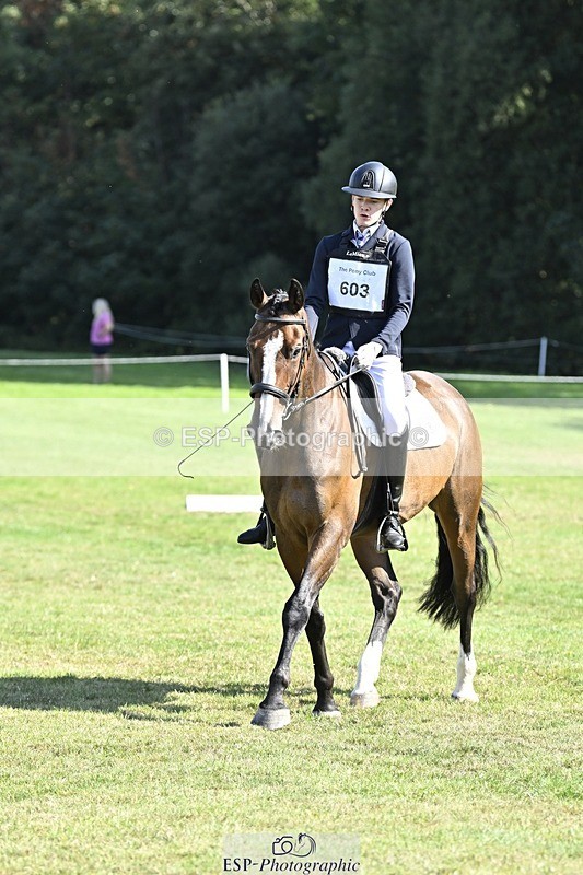 250822A-102915-20263 - DR 10.00 to 11.00