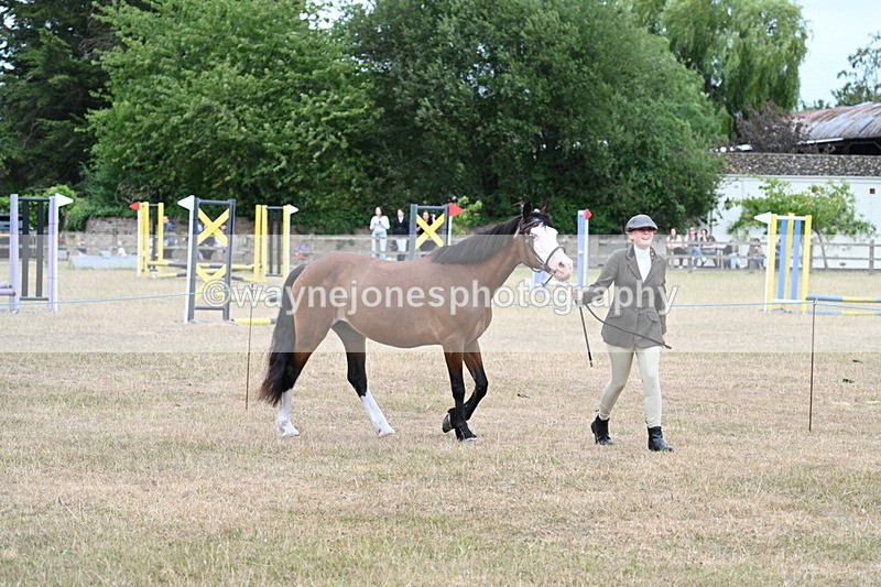 WJ7_8452 - Class 4 Prettiest Mare up to 14.2hh