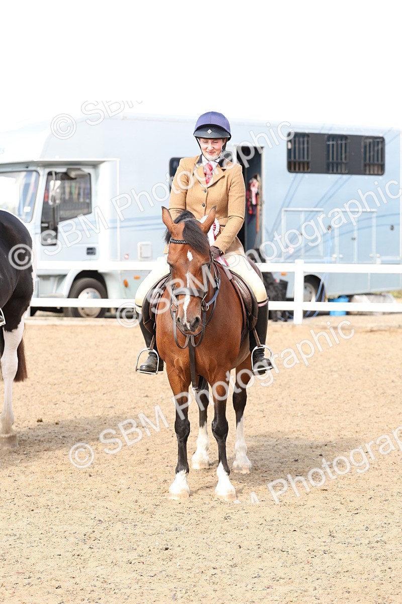 SBM_06816 - Class 58a -  Style & Performance - 70cm (15-19)