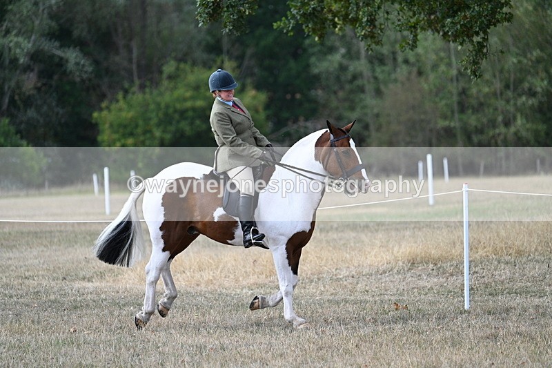 WJ7_7207 - Class 14 Ridden Coloured