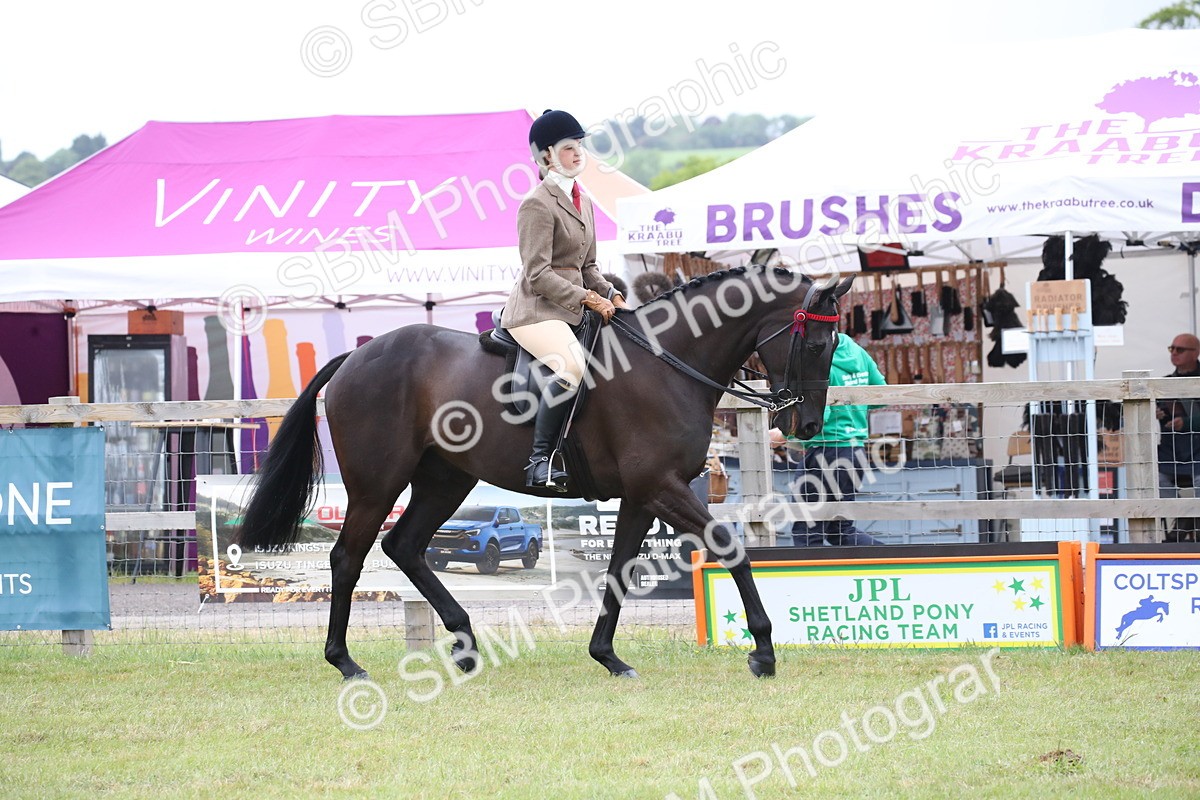 SBM_11398 - Class 94 - LIHS BSHA Racehorse to Showhorse