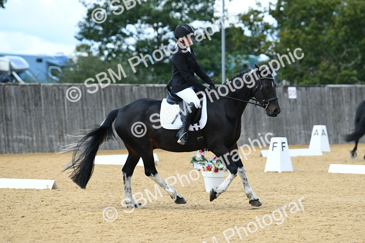 SBM_07403 - D15 Small Tour Championship Novice 24