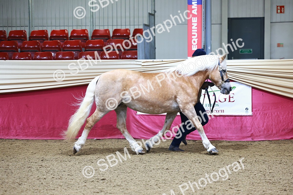 SBM_21650 - Class 901 - Supreme Final - IH  Diamond