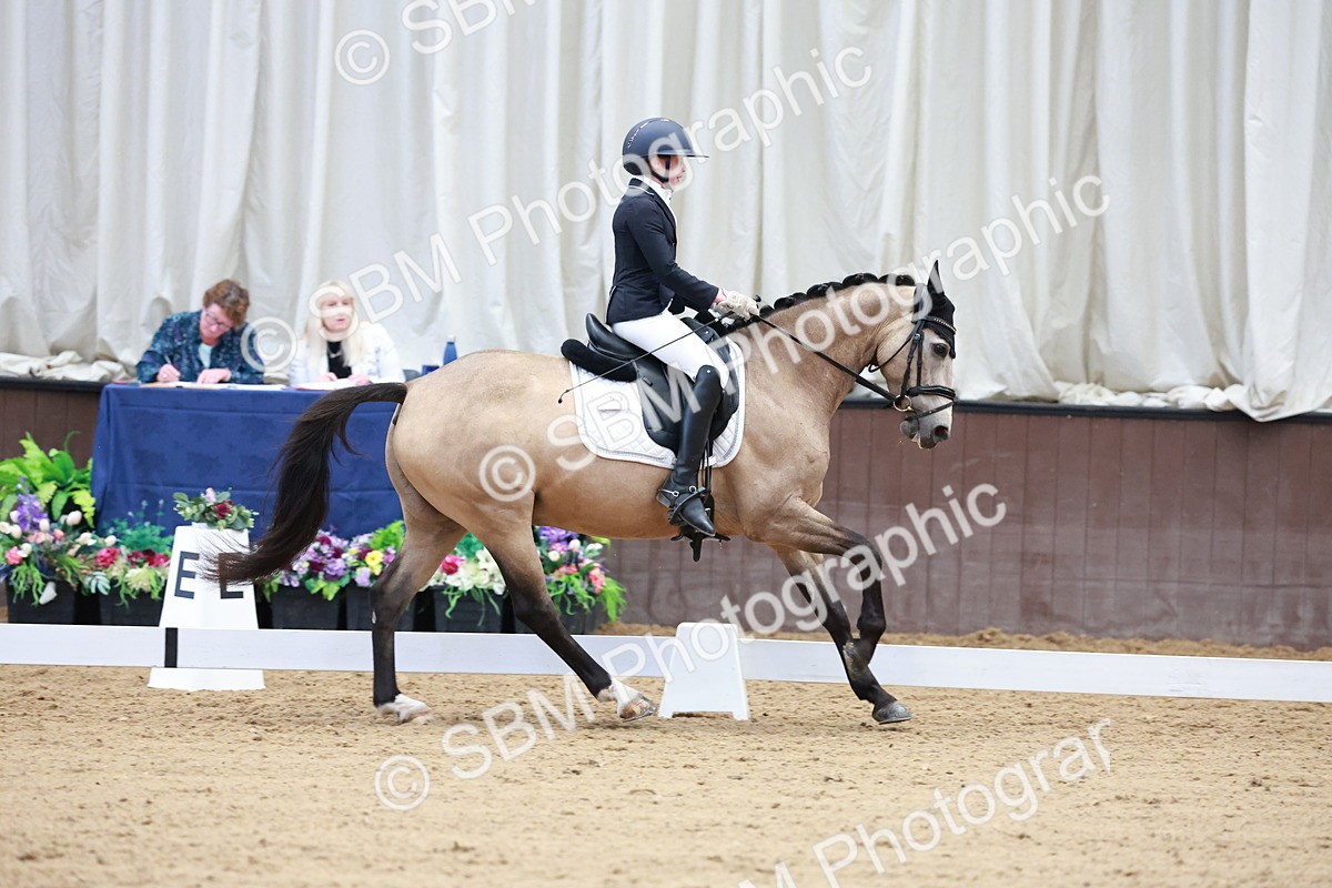 SBM_017228 - Class15 - FEI Pony