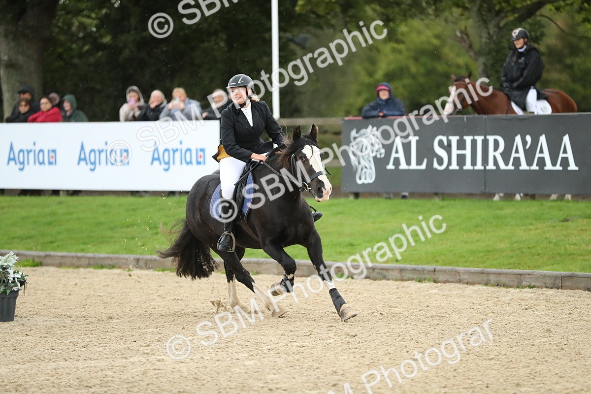 SBM_00930 - J27 - Senior Horse & Pony 50cm Championships