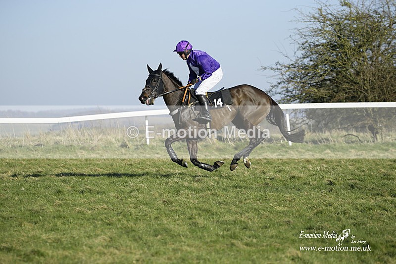 PtP 270222 292 - South & West Wilts Point-to-Point Larkhill 27/02/22