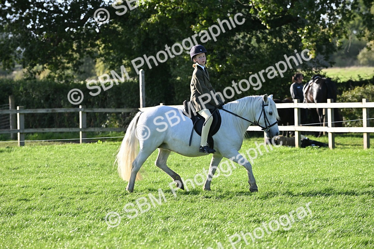 SBM_53060 - S23 - First Ridden Mountain & Moorland Pony