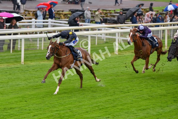 140723-Race 2-Swingalong-8125 - Race 2 2.40pm William Hill Summer Stakes