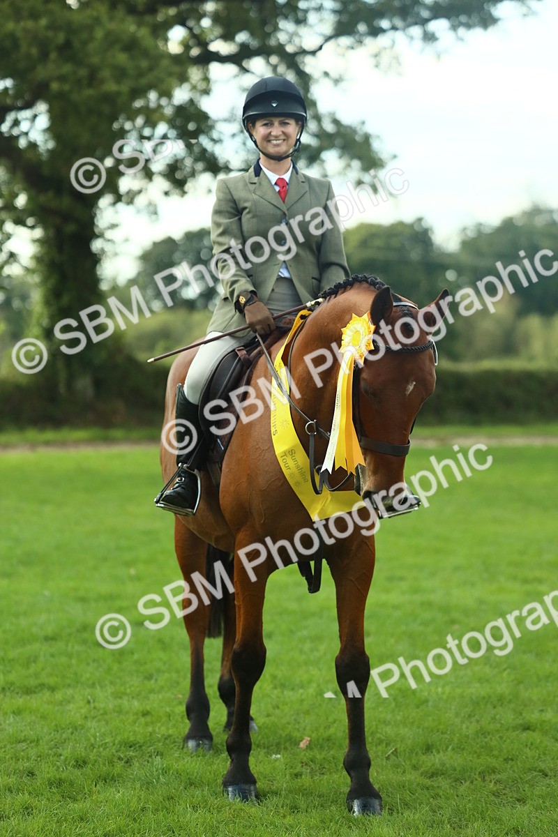 SBM_52216 - S33 - Working Hunter & Working Show Horse