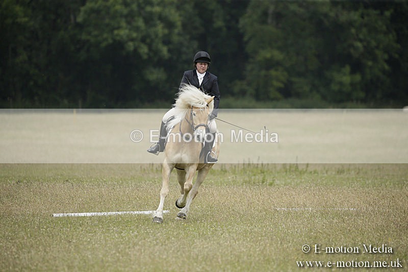 B230619-0605 - Bourne Valley Riding Club Summer Show 23/06/19