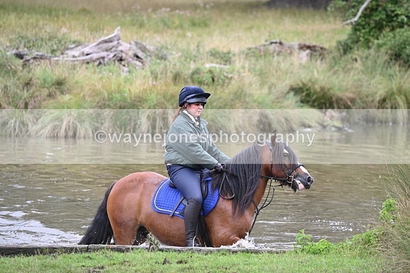 WJ7_5781 - Time at Water 14:54 to 15:14