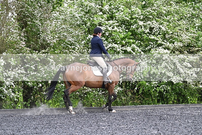 WJ7_8260 - Time 10:30 to 10:51