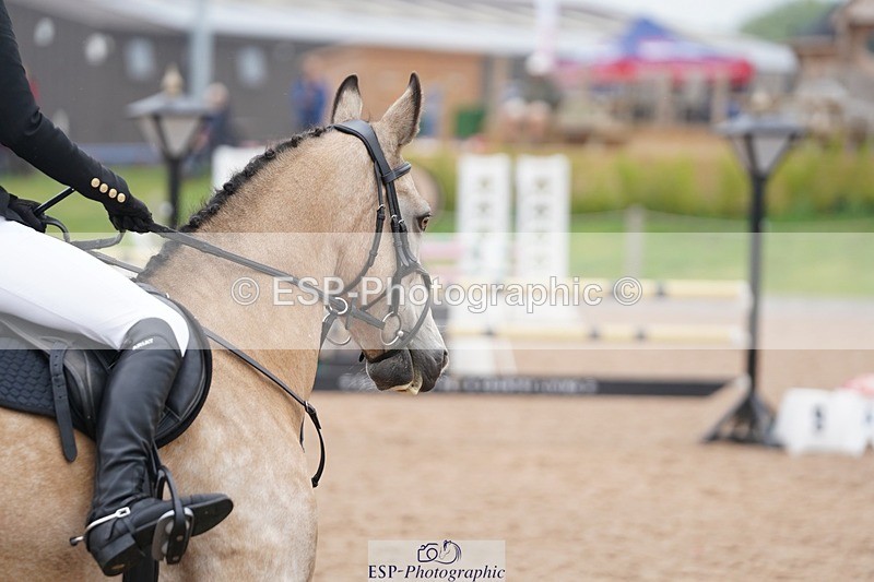 240901A-121020-06813 - 326-Lily.Howell-WOODFIELD.GOLD