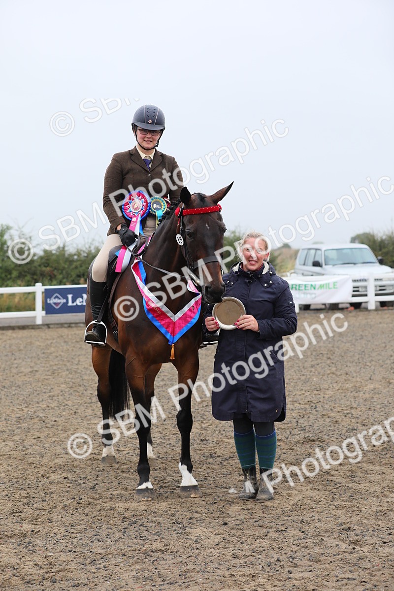 SBM_20081 - Class 802 - Ridden Groom - Helpers class